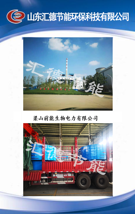 梁山前能生物电力有限公司.png