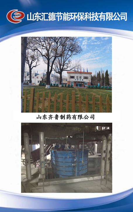 山东齐鲁制药有限公司.png