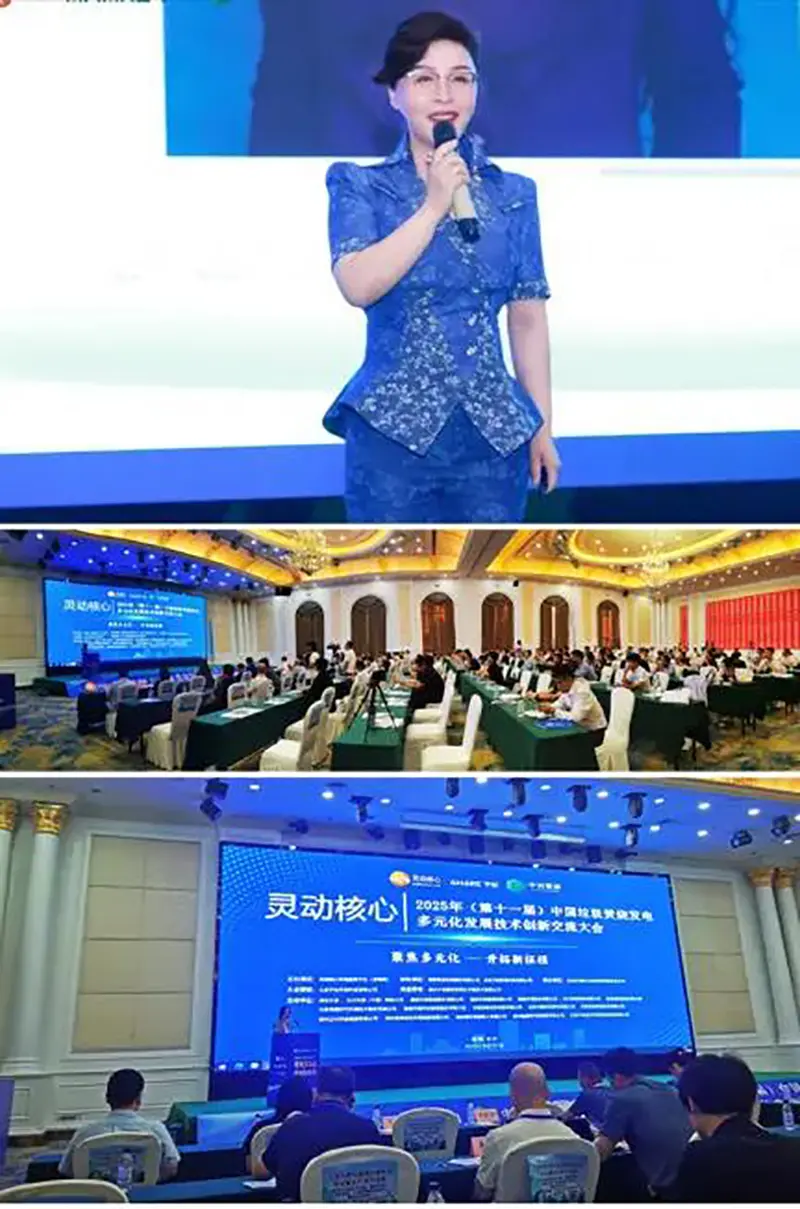 中国垃圾焚烧发电多元化发展技术交流大会